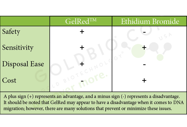 GelRed vs. Ethidium Bromide EtBr