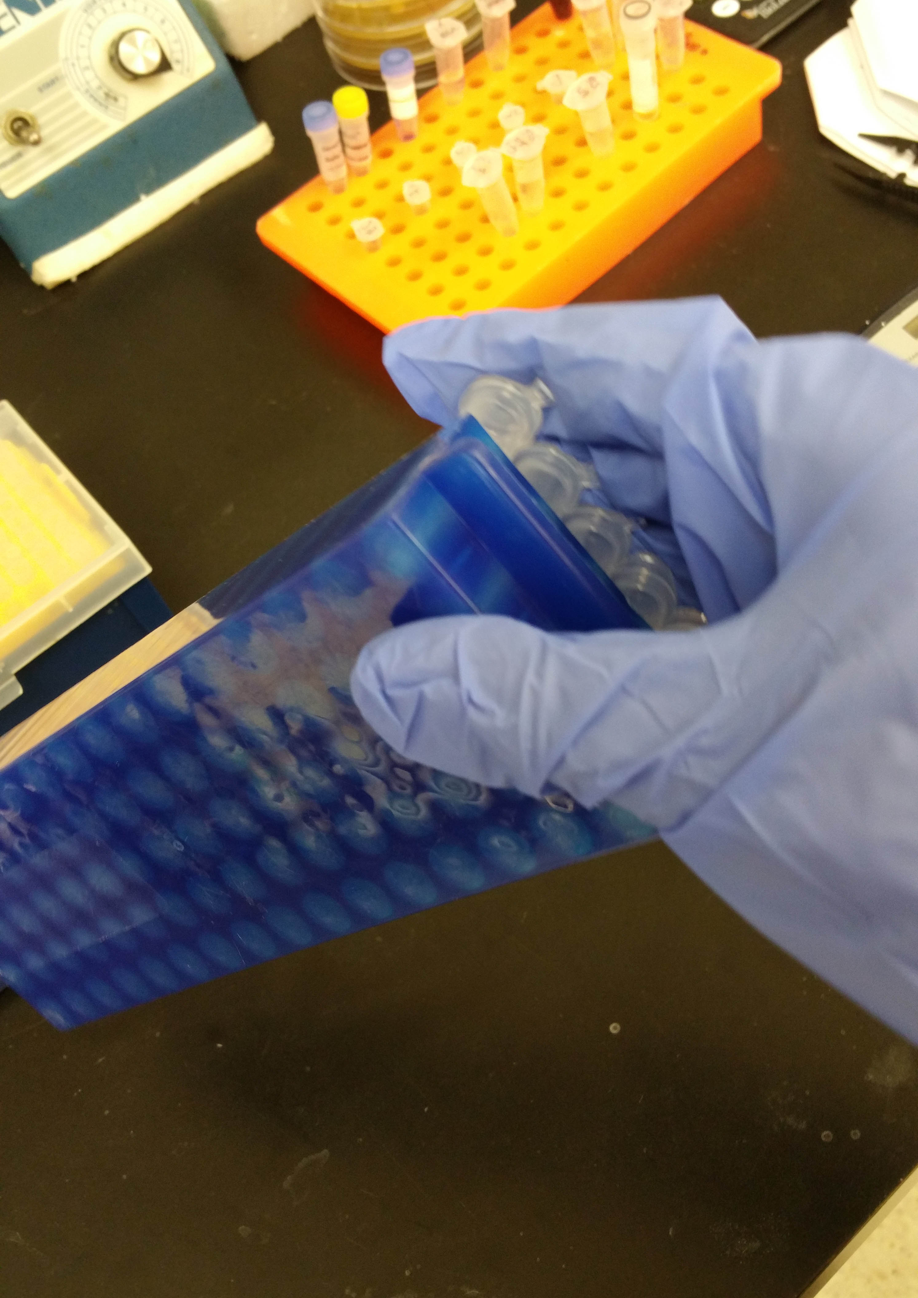 25 Real Lab Hacks from Researchers Like You - Invert multiple tubes at once using your tube rack