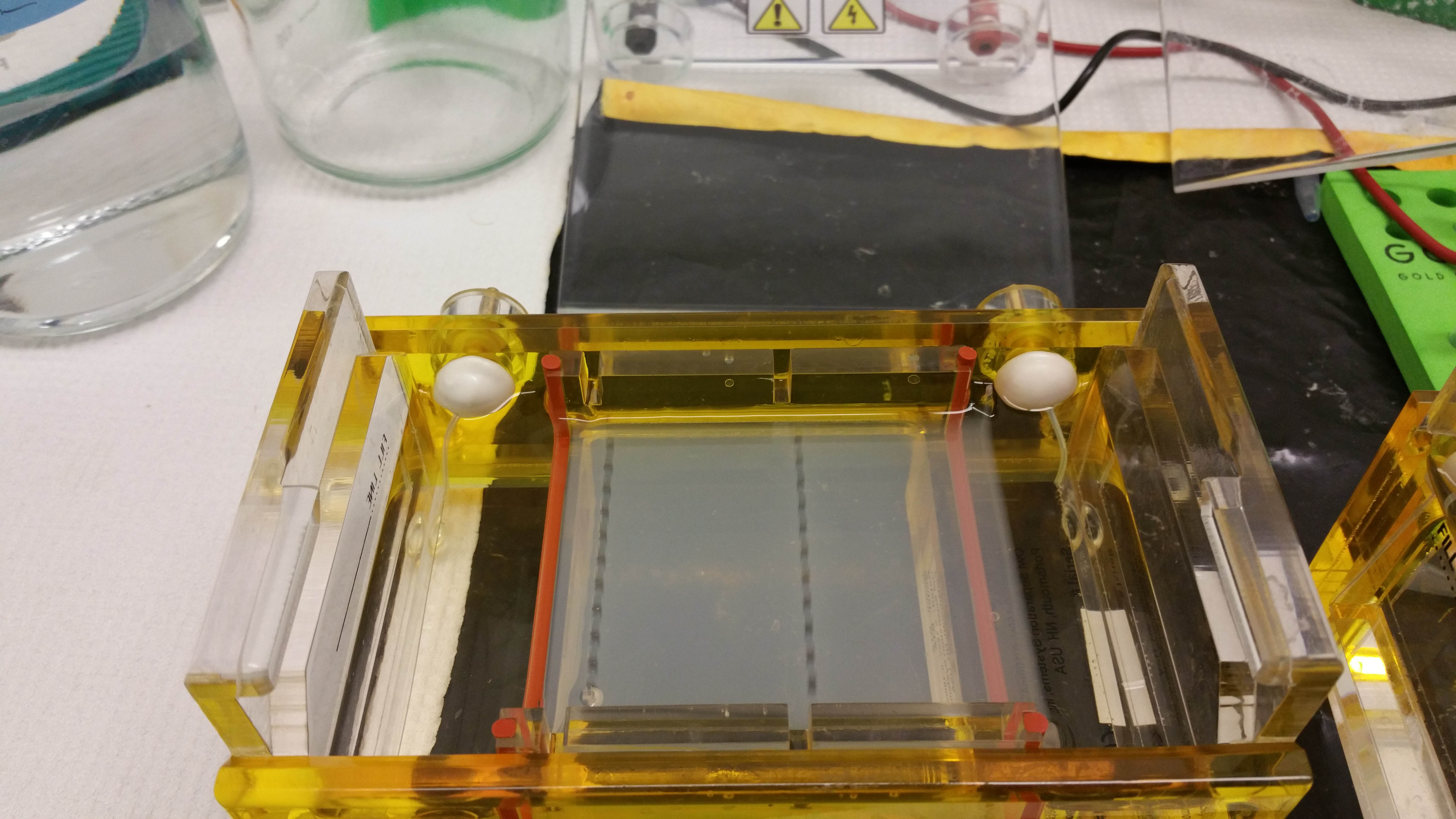 25 Real Lab Hacks from Researchers Like You - Fix a cracked gel rig with 4% agarose or higher