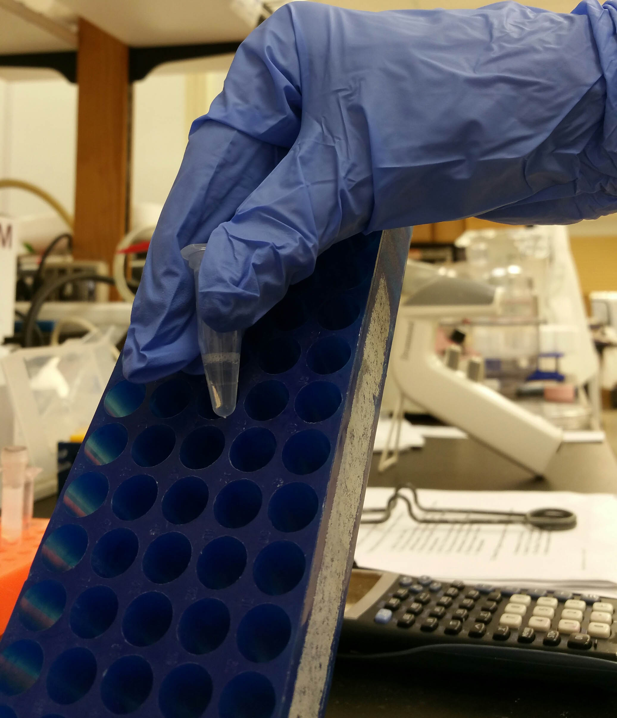25 Real Lab Hacks from Researchers Like You - When vortexing your tubes aren't working, use your tube rack as a washboard