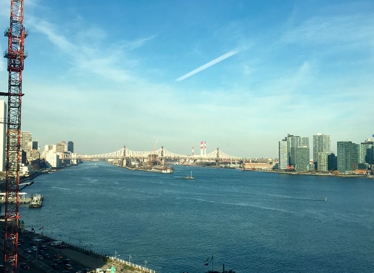 A view from the Neuro-Oncology Lab at NYU New York University